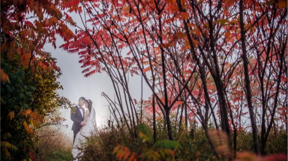 Wedding shot in autumn